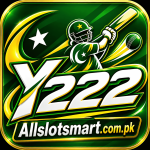 Y222 Game